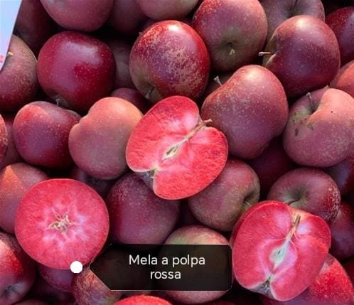 Frutta dal Mondo