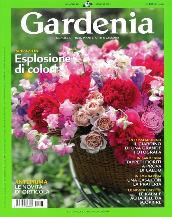 Gardenia Maggio 2025