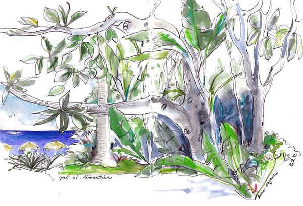 Ipomea Live Sketching 2026: Simonetta Capecchi